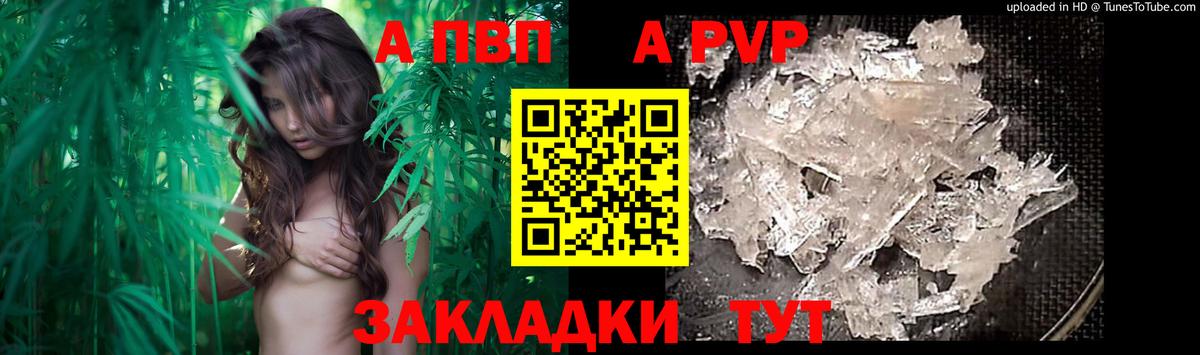 где купить наркоту  Alpha-PVP VHQ  А ПВП СК  Вход с VPN  Вятские Поляны 