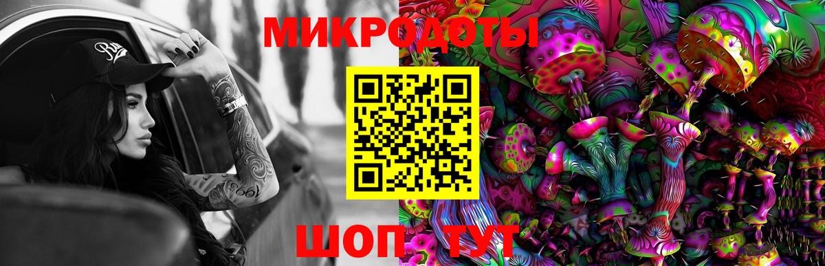 Псилоцибиновые грибы Psilocybine cubensis Вятские Поляны