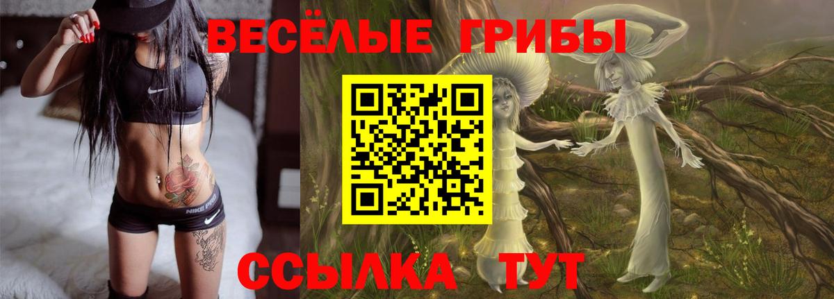 Вятские Поляны  Галлюциногенные грибы прущие грибы  Галлюциногенные грибы ЛСД  Вход с VPN 
